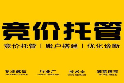 科技公司如何通过SEM推广实现快速增长